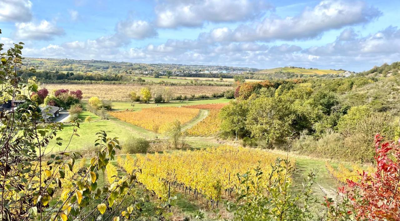 Maison Des Coteaux Blancs Chaudefonds-sur-Layon Экстерьер фото