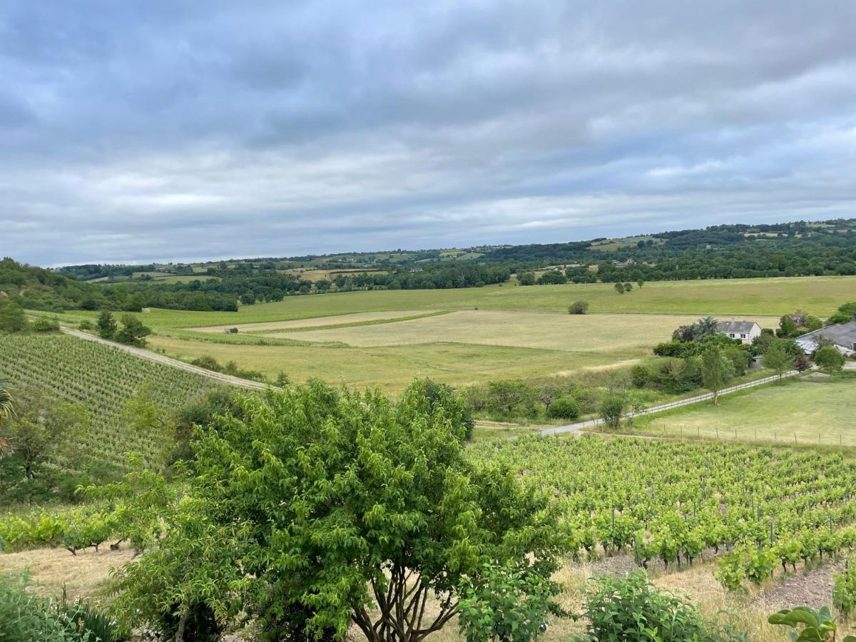 Maison Des Coteaux Blancs Chaudefonds-sur-Layon Экстерьер фото