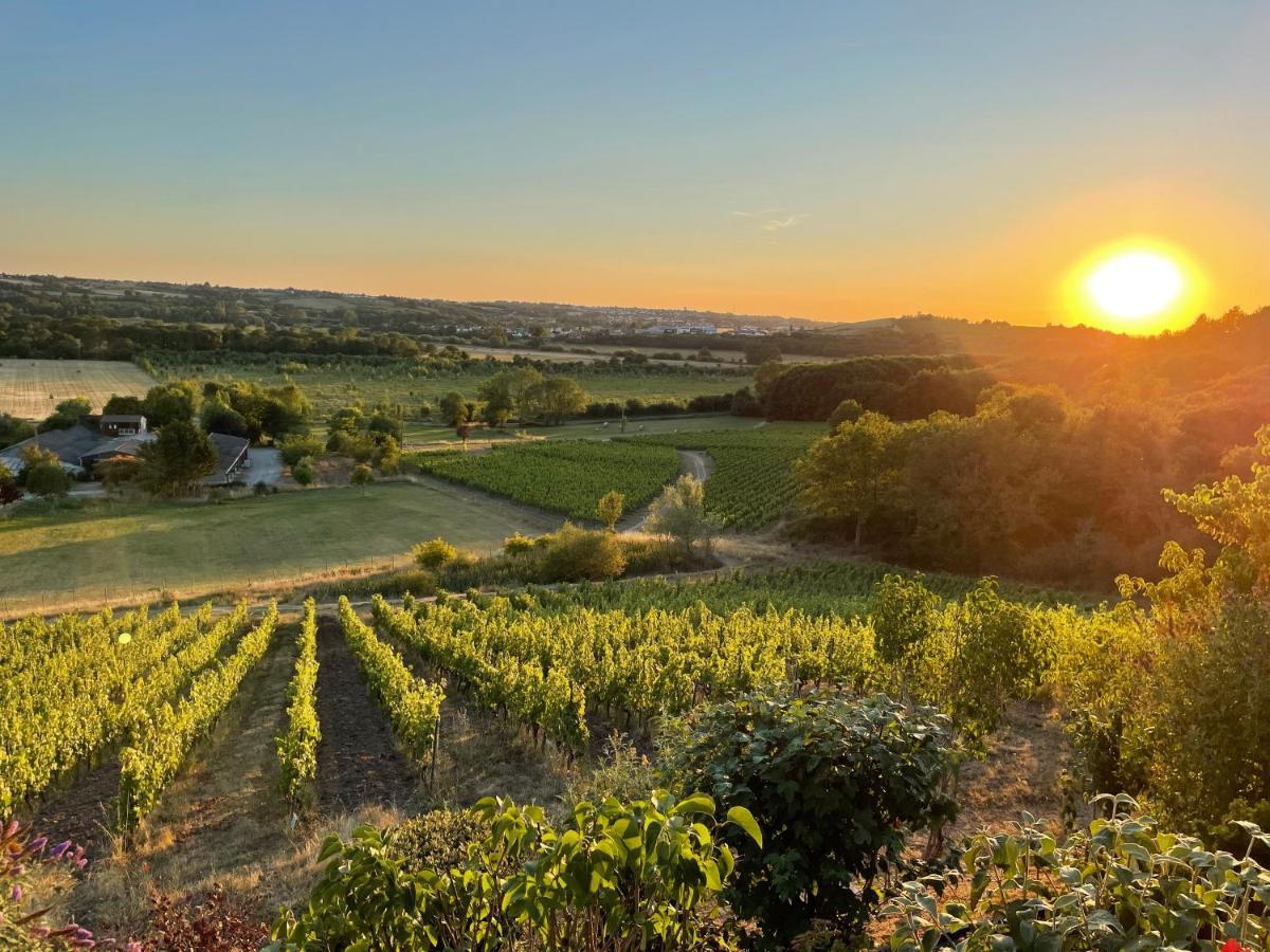 Maison Des Coteaux Blancs Chaudefonds-sur-Layon Экстерьер фото