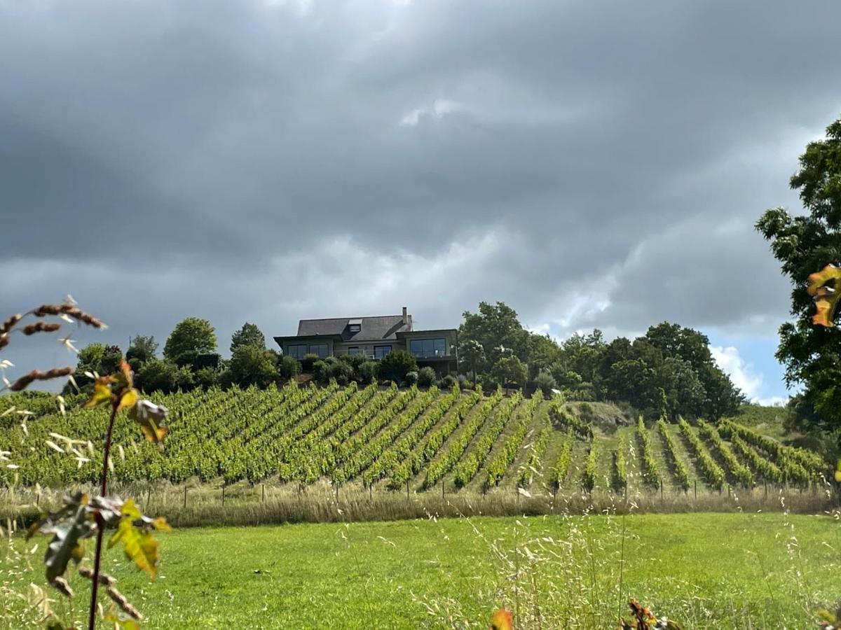 Maison Des Coteaux Blancs Chaudefonds-sur-Layon Экстерьер фото